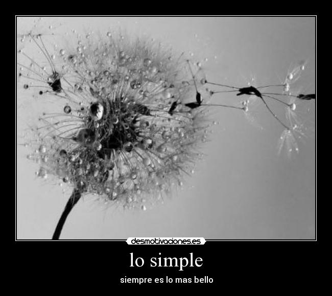 lo simple - siempre es lo mas bello