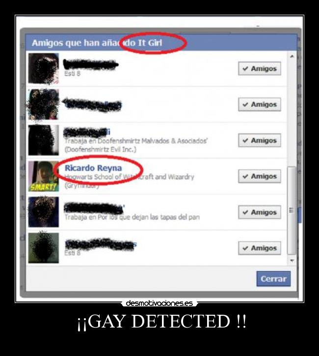 ¡¡GAY DETECTED !! -