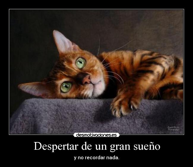 Despertar de un gran sueño -