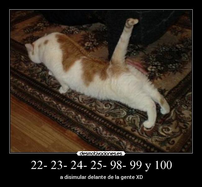 22- 23- 24- 25- 98- 99 y 100 - a disimular delante de la gente XD