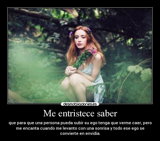 carteles envidia desmotivaciones