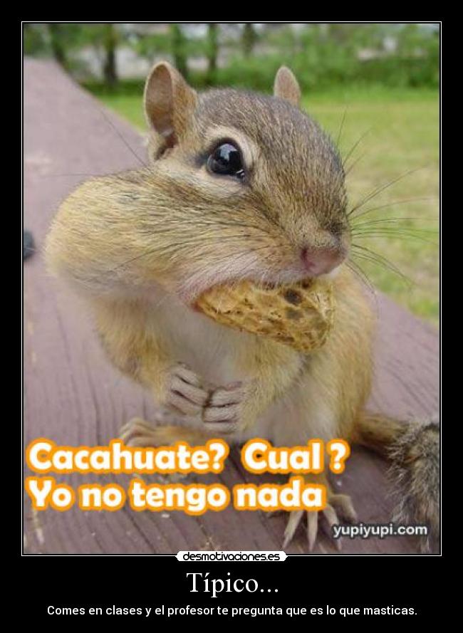 Típico... - Comes en clases y el profesor te pregunta que es lo que masticas.