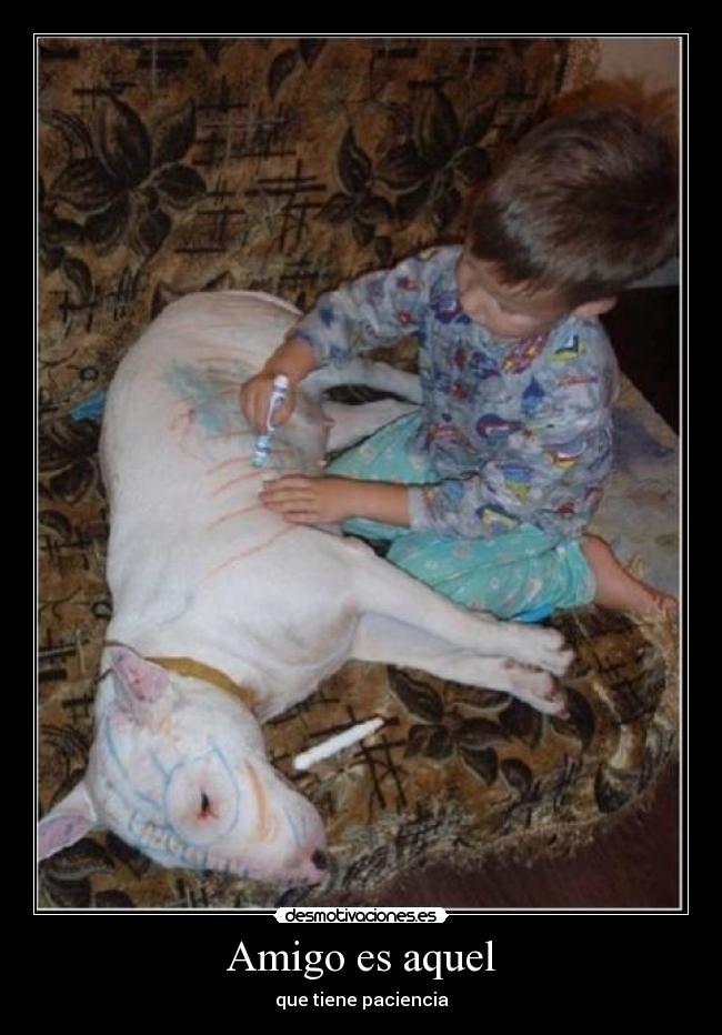 Amigo es aquel - 