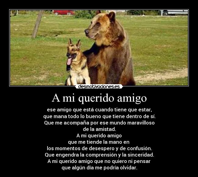 A mi querido amigo - ese amigo que está cuando tiene que estar,
que mana todo lo bueno que tiene dentro de sí.
Que me acompaña por ese mundo maravilloso
de la amistad.
A mi querido amigo
que me tiende la mano en
los momentos de desespero y de confusión.
Que engendra la comprensión y la sinceridad.
A mi querido amigo que no quiero ni pensar
que algún día me podría olvidar.