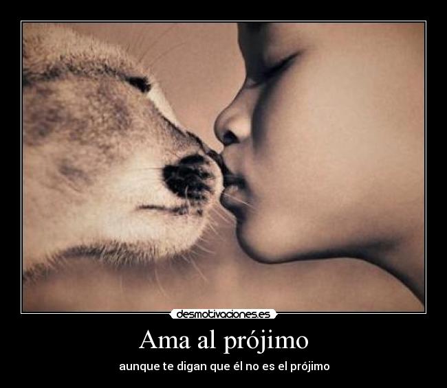 Ama al prójimo - 