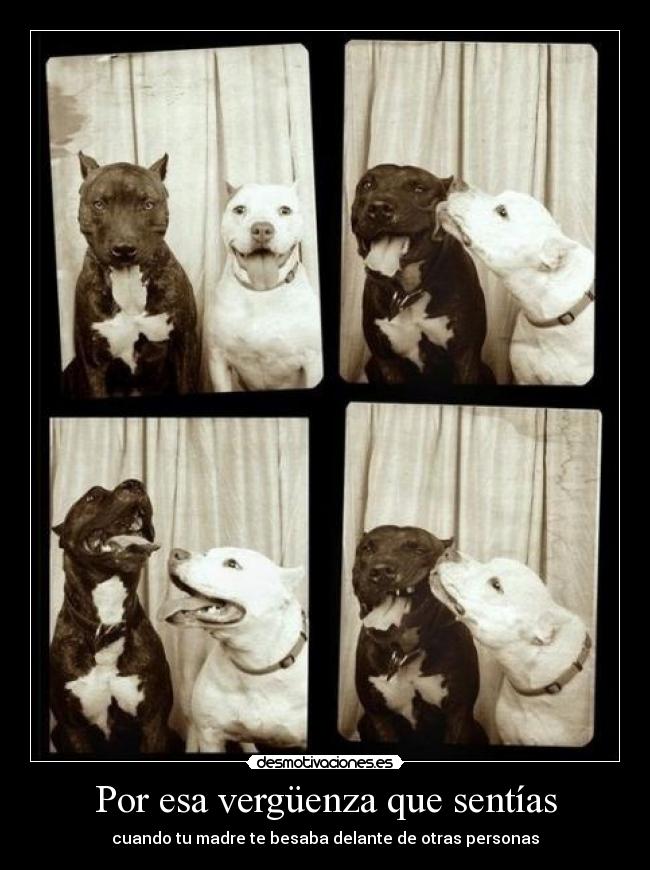 Por esa vergüenza que sentías - 