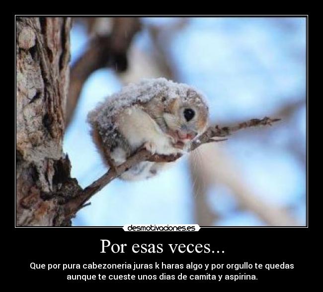 Por esas veces... - 