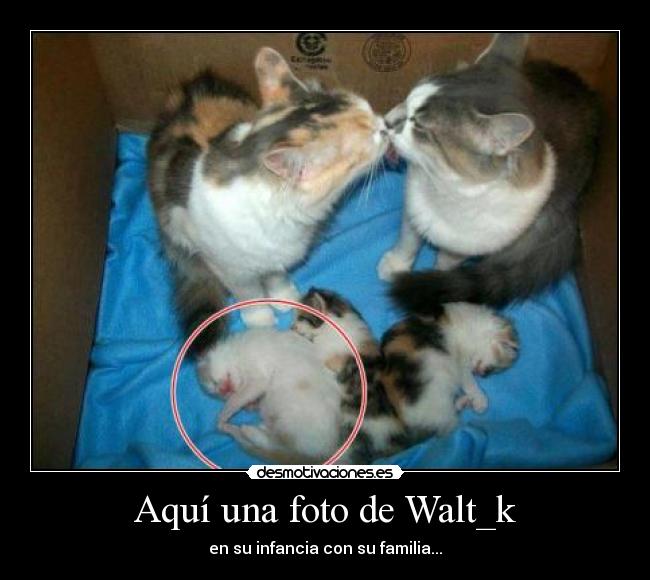Aquí una foto de Walt_k - en su infancia con su familia...