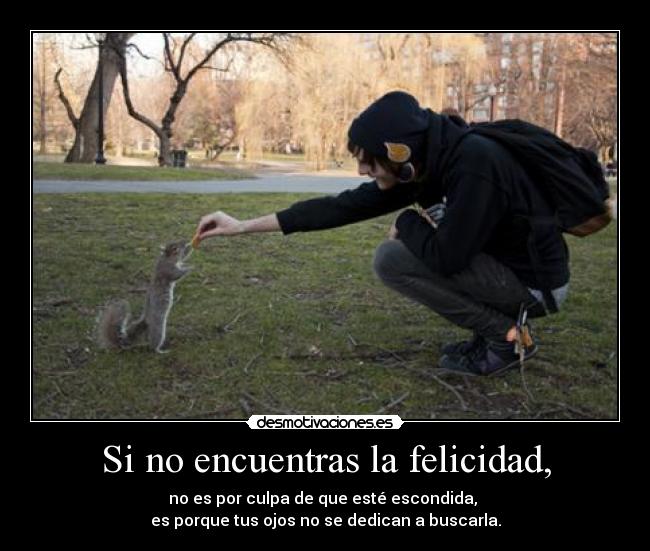 Si no encuentras la felicidad, -