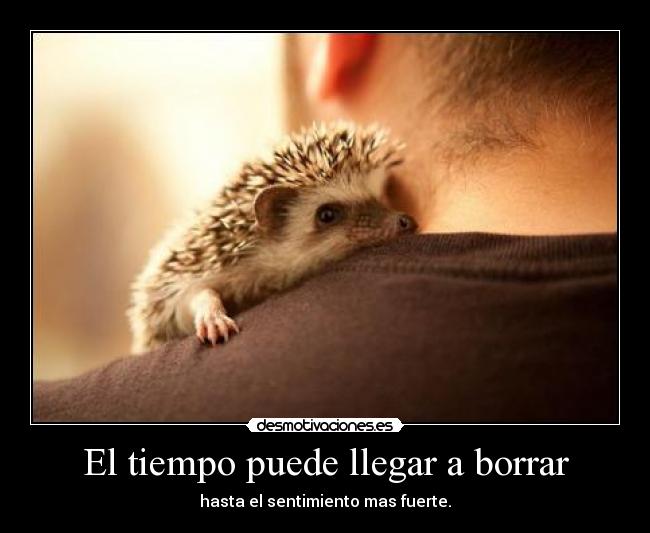 El tiempo puede llegar a borrar - 