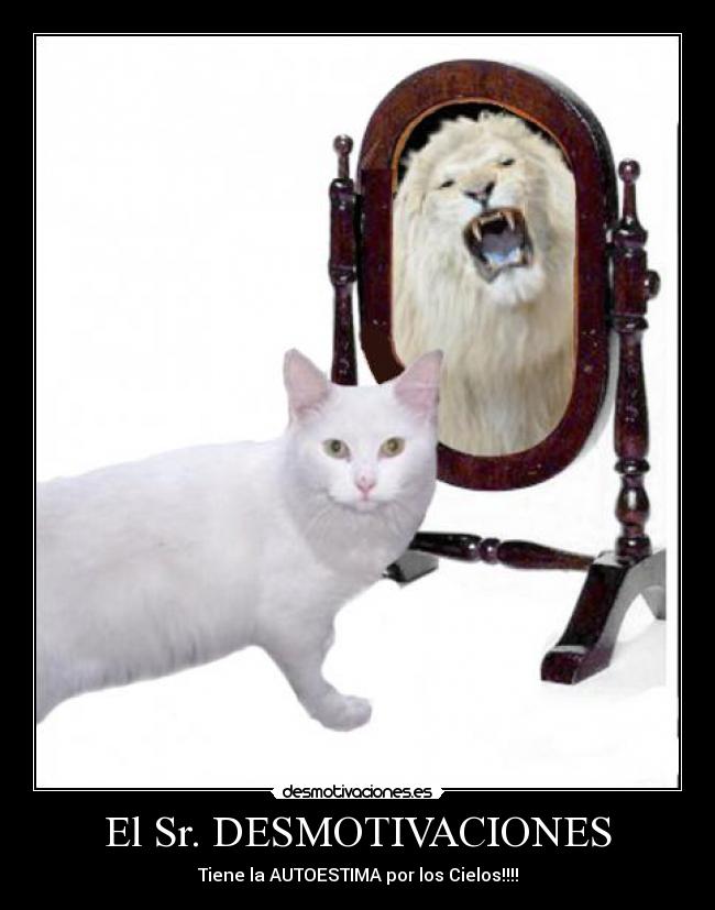 El Sr. DESMOTIVACIONES - Tiene la AUTOESTIMA por los Cielos!!!!