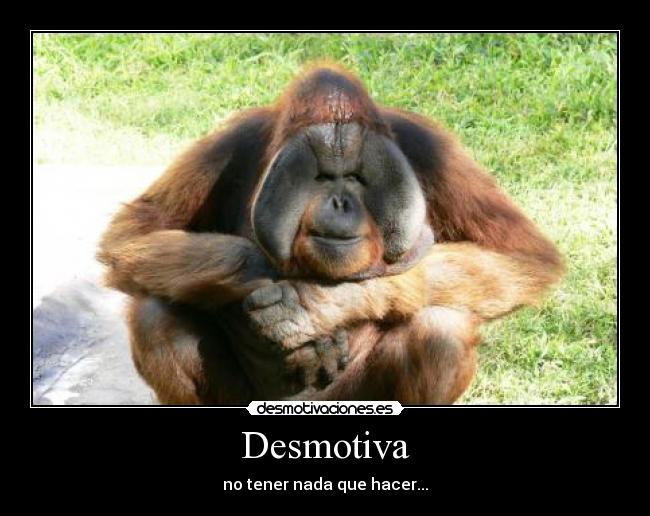 carteles aburrimiento desmotivaciones