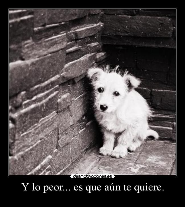 Y lo peor... es que aún te quiere. - 