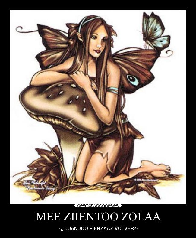 MEE ZIIENTOO ZOLAA - -¿ CUANDOO PIENZAAZ VOLVER?-