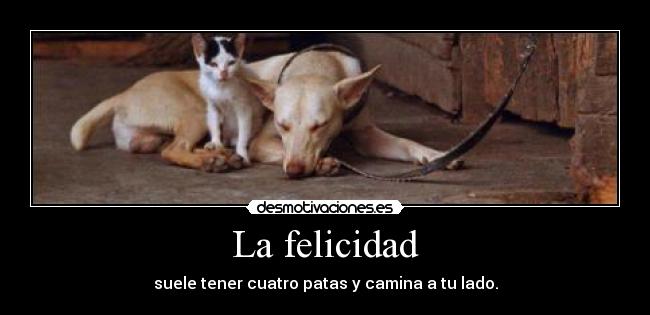 La felicidad - suele tener cuatro patas y camina a tu lado.