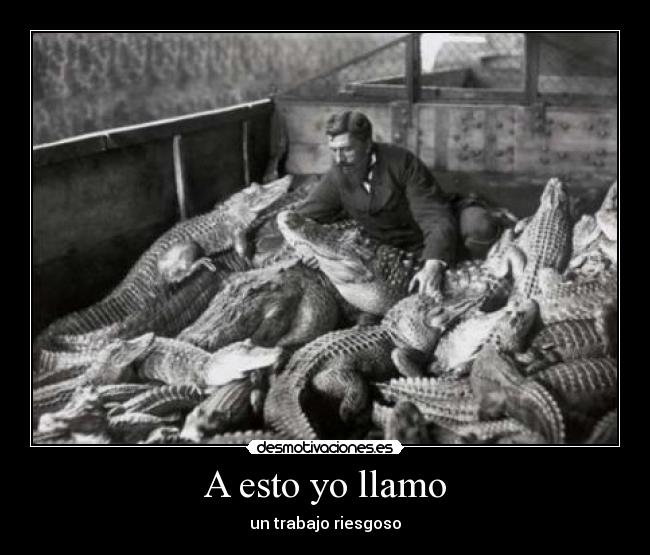 A esto yo llamo - un trabajo riesgoso