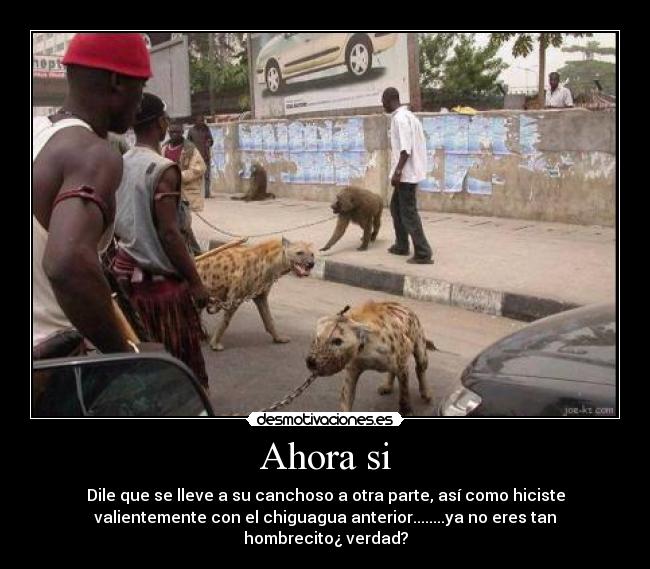 Ahora si - Dile que se lleve a su canchoso a otra parte, así como hiciste
valientemente con el chiguagua anterior........ya no eres tan
hombrecito¿ verdad?