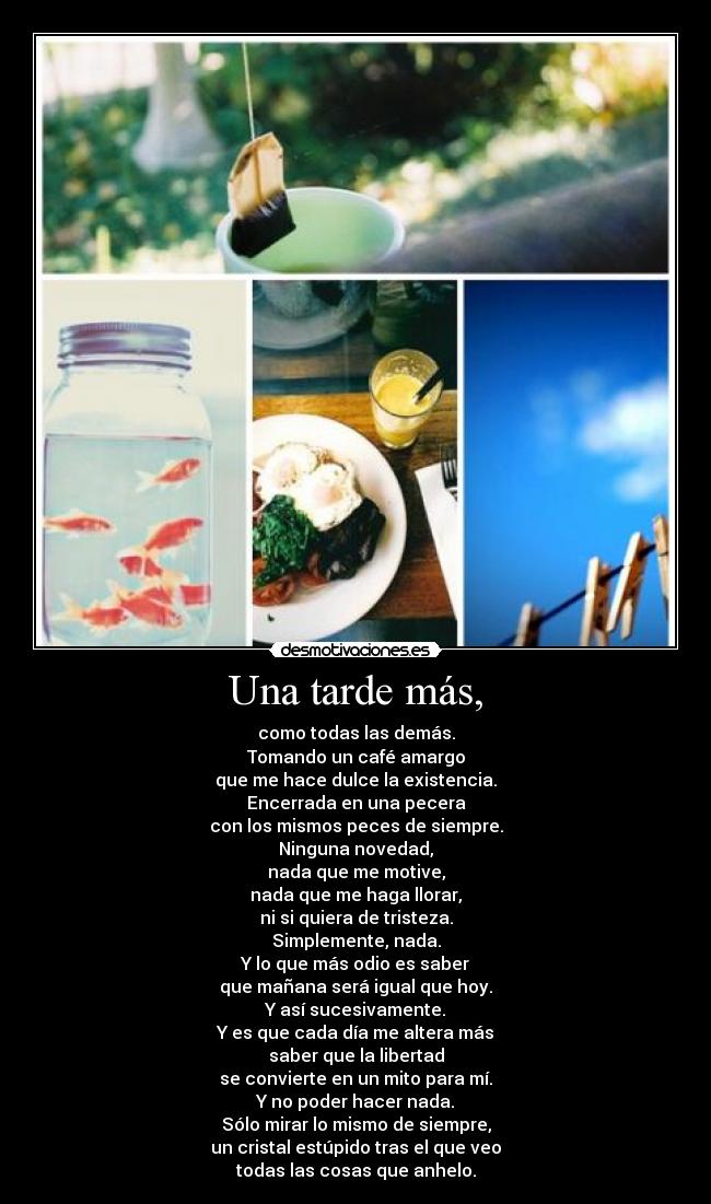 Una tarde más, - como todas las demás.
Tomando un café amargo
que me hace dulce la existencia.
Encerrada en una pecera
con los mismos peces de siempre.
Ninguna novedad,
nada que me motive,
nada que me haga llorar,
ni si quiera de tristeza.
Simplemente, nada.
Y lo que más odio es saber
que mañana será igual que hoy.
Y así sucesivamente.
Y es que cada día me altera más
saber que la libertad
se convierte en un mito para mí.
Y no poder hacer nada.
Sólo mirar lo mismo de siempre,
un cristal estúpido tras el que veo
todas las cosas que anhelo.