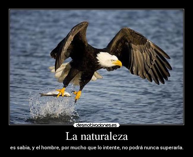 La naturaleza - es sabia, y el hombre, por mucho que lo intente, no podrá nunca superarla.