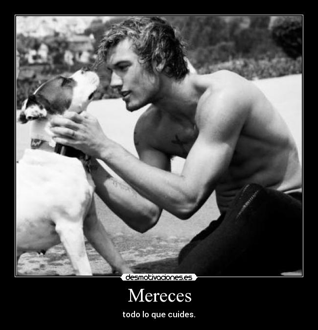 carteles perrito desmotivaciones