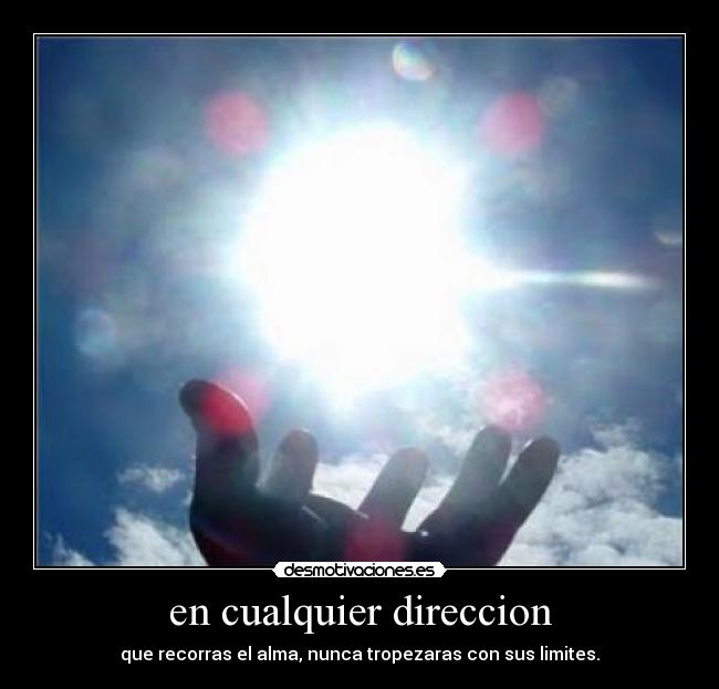 carteles direccion alma limites desmotivaciones