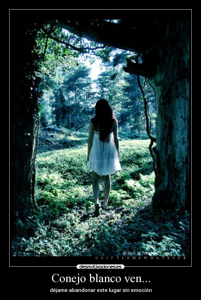 Conejo blanco ven... - déjame abandonar este lugar sin emoción