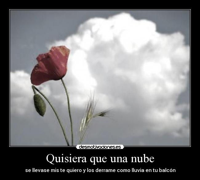 Quisiera que una nube - se llevase mis te quiero y los derrame como lluvia en tu balcón