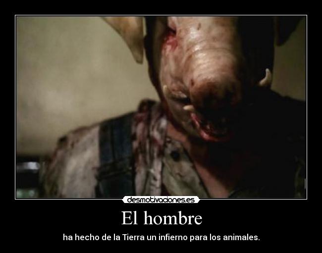 El hombre - ha hecho de la Tierra un infierno para los animales.