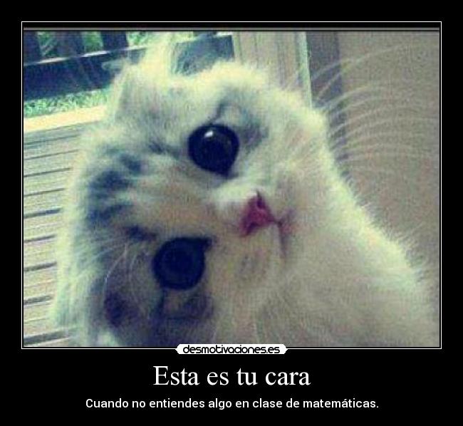 Esta es tu cara - Cuando no entiendes algo en clase de matemáticas.
