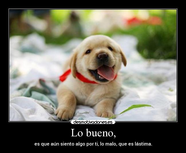 Lo bueno, - es que aún siento algo por ti, lo malo, que es lástima.