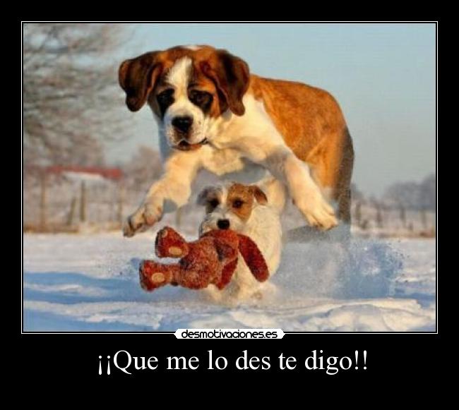 ¡¡Que me lo des te digo!! -