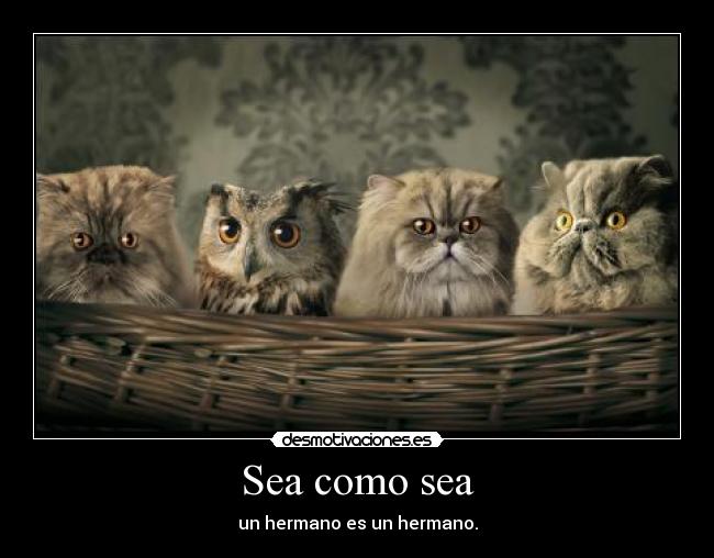 Sea como sea - 