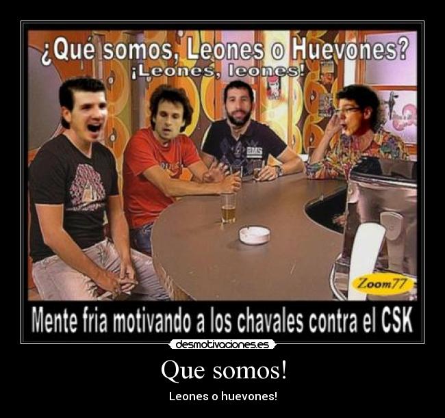 Que somos! - Leones o huevones!