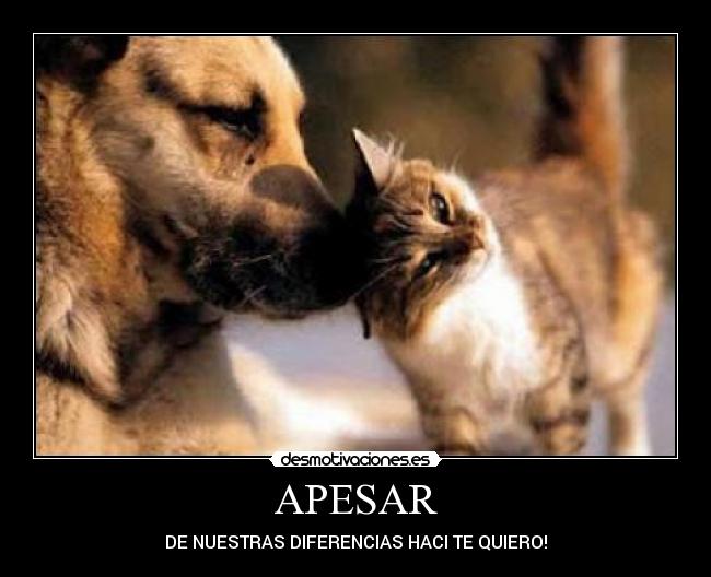 APESAR - 