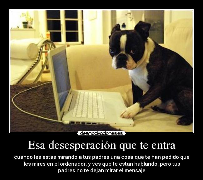Esa desesperación que te entra - cuando les estas mirando a tus padres una cosa que te han pedido que
les mires en el ordenador, y ves que te estan hablando, pero tus
padres no te dejan mirar el mensaje