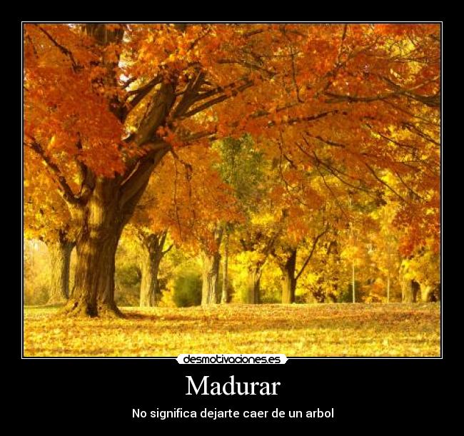 Madurar - No significa dejarte caer de un arbol