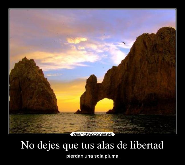 carteles libertad manelwhibley desmotivaciones