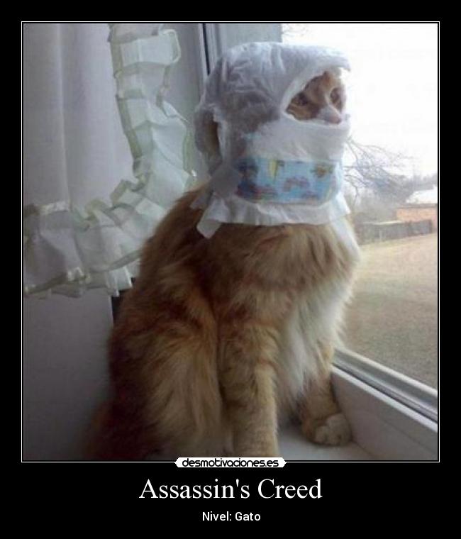 carteles gatostonto desmotivaciones