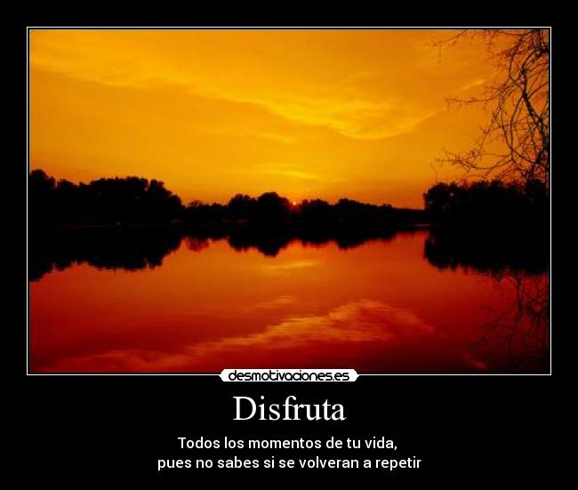 Disfruta -