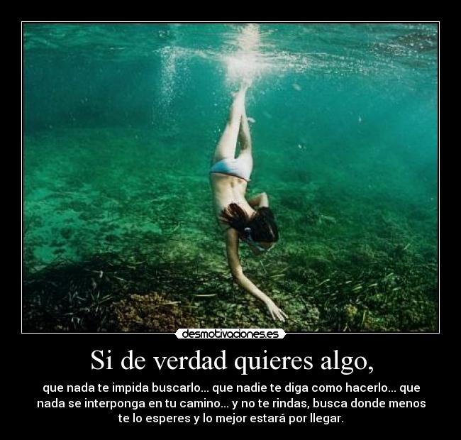 Si de verdad quieres algo, - que nada te impida buscarlo... que nadie te diga como hacerlo... que
nada se interponga en tu camino... y no te rindas, busca donde menos
te lo esperes y lo mejor estará por llegar.
