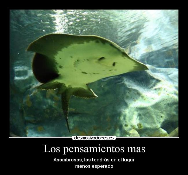 Los pensamientos mas - Asombrosos, los tendrás en el lugar
menos esperado