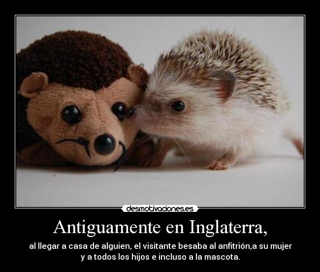 Antiguamente en Inglaterra, - al llegar a casa de alguien, el visitante besaba al anfitrión,a su mujer
y a todos los hijos e incluso a la mascota.