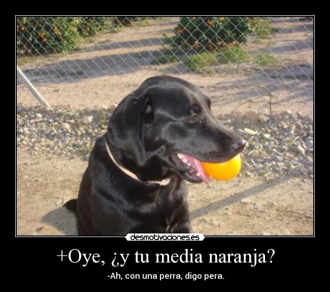 +Oye, ¿y tu media naranja? - -Ah, con una perra, digo pera.