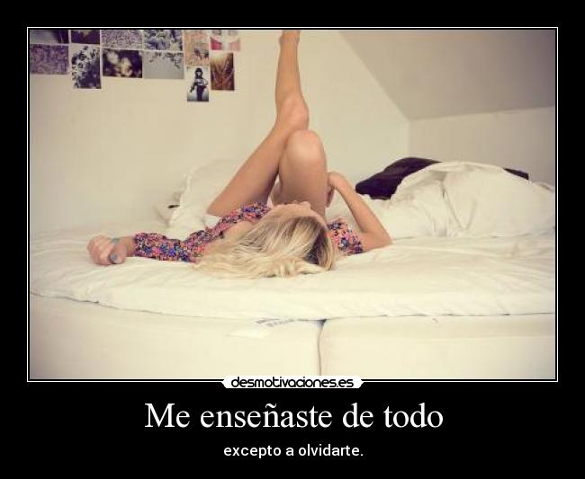 Me enseñaste de todo -