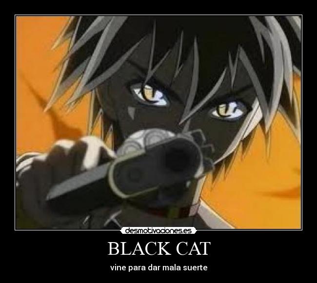 BLACK CAT - vine para dar mala suerte