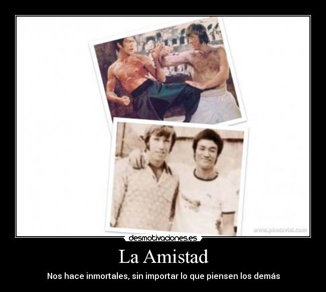 La Amistad - Nos hace inmortales, sin importar lo que piensen los demás