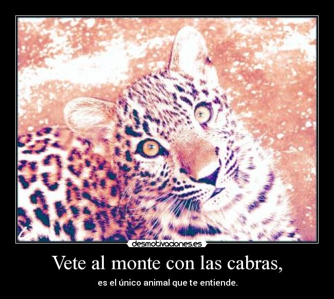 Vete al monte con las cabras, - es el único animal que te entiende.