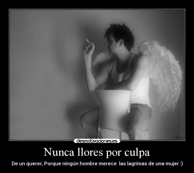 Nunca llores por culpa - 
