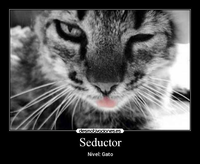 Seductor - 