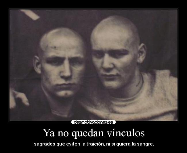 carteles desmotivaciones cain abel romulo remo zeus hades mufasa scar lol desmotivaciones